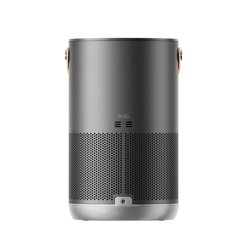 Air Purifier P1